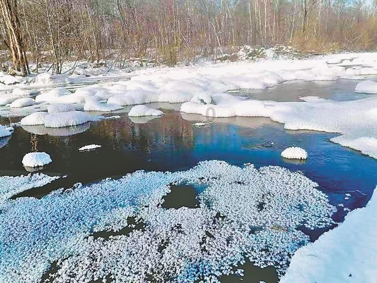 虫虫助手下载